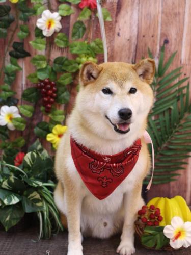 20230802平太くん